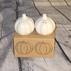 White Pumpkin Salt and Pepper Shakers